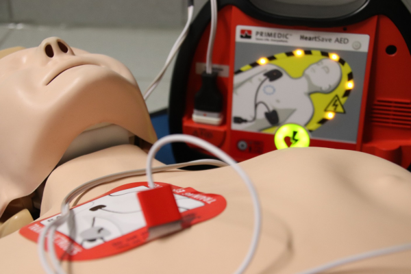 basic life support course online